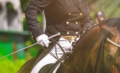 Dressage horse and rider in black uniform closeup. Horizontal banner for website header design....