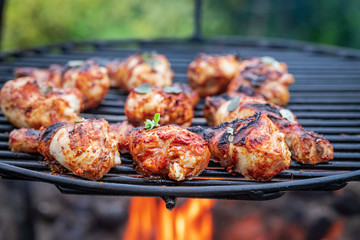 Hot and spicy grilled chicken leg in summer garden