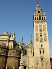 Fototapeta na wymiar Seville, Spain, La Giralda and Cathedral