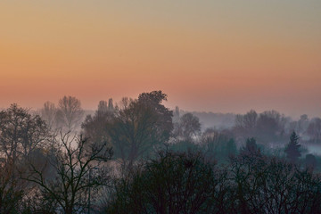 Alba invernale con nebbia tra gli alberi con sole arancione
