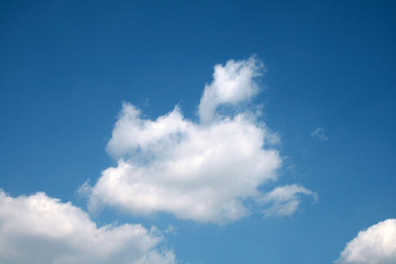 Fototapeta premium clouds in the blue sky during the daytime