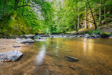 Beautiful river deep in the forest, sunny spring summer weather. Nature landscape, rocks and flowing water stream. Tranquil natural environment