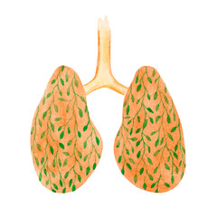Hand-drawn watercolor lung with beautiful plants on white background. Cute medicine illustration for your design.