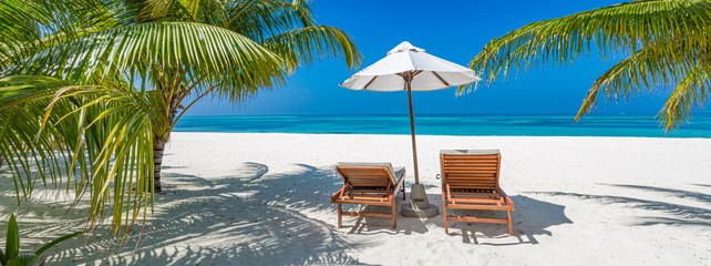 Tropical beach background as summer landscape with lounge chairs and palm trees and calm sea for beach banner