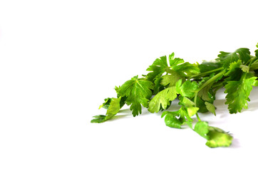 Green bunch of  parsley isolated on white background, studio photo