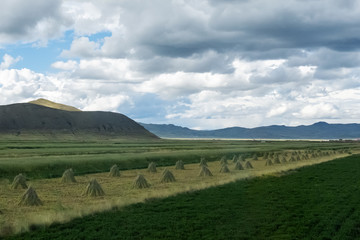 Andenhochland