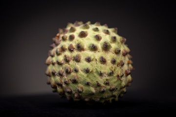 Macro shot of round Soursop or Graviola fruit with prickly vibrant green peel related to the Sugar Apple. Low key studio shot of fresh food.