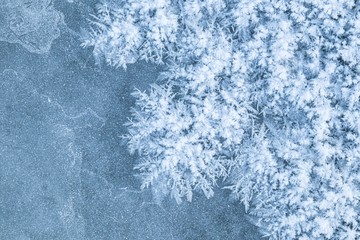 Gefrorene Schneeflocke am Russel Glacier in Grönland