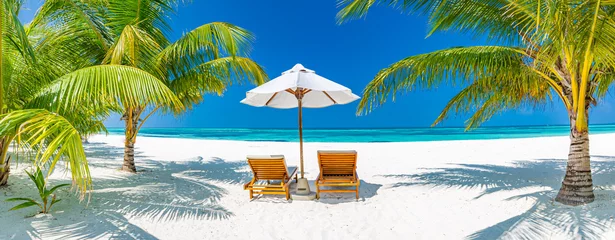 Raamstickers Tropische strandachtergrond als zomerlandschap met ligstoelen en palmbomen en kalme zee voor strandbanner © icemanphotos