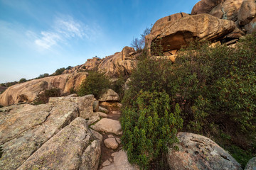 Riscos del Tranco y cistus ladanifer en el Parque Regional de la Pedriza. Madrid. España. Europa.