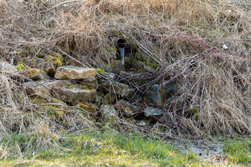 The water flows from an old gutter in nature