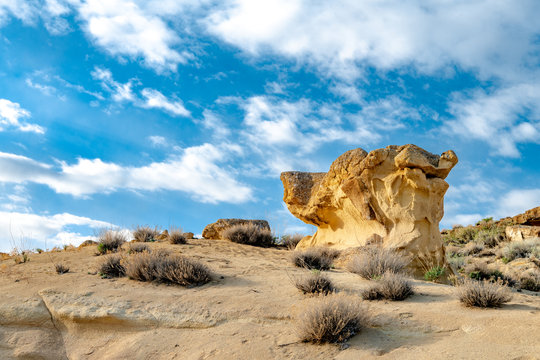 Huge rock bolder in the shape of a dogs head