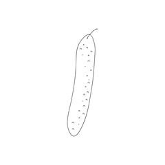 Cute doodle cucumber. Hand drawn vector illustration for vegan poster, banner, card, recipe, culinary design, menu. Isolated on white background