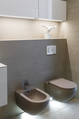 Brown toilet and bidet. Modern wc interior. Economic toilet white flush press with two separate buttons for flushing toilet. Bottom light. Shelf with statuette.