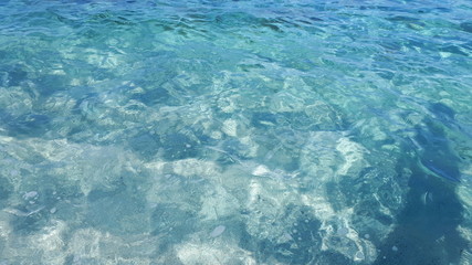 summer and sea