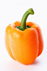 Fresh organic pepper portrait with small drops of water