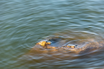 Huge rock in the water