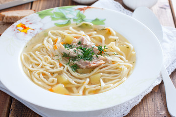 Homemade chicken soup with homemade egg noodles, horizontal