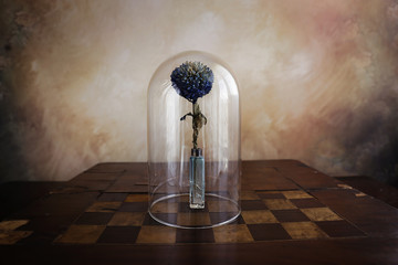 Fiore blu e il gioco delle palline