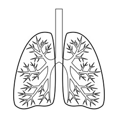 human lungs outline vector design