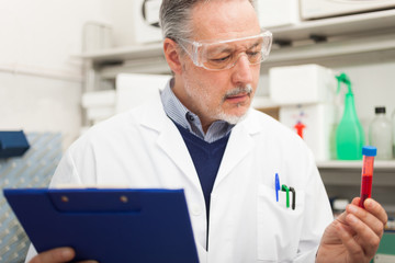 Medical Worker Looking at a Blood Test