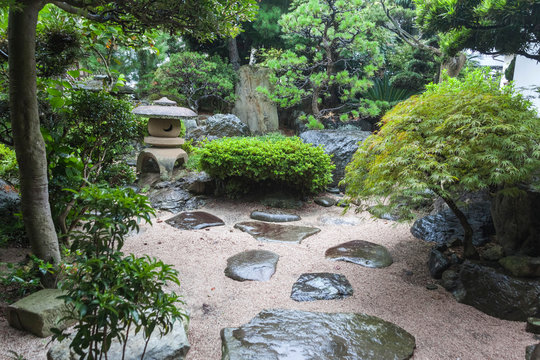 Japanese courtyard garden of a Japanese house
