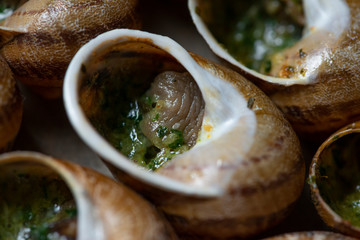 .Escargots de Bourgogne - Snails with garlic butter, close up..