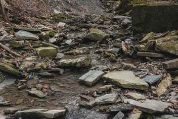 Fototapeta na wymiar Image of a dry riverbed with stones, moss and old dried wood logs