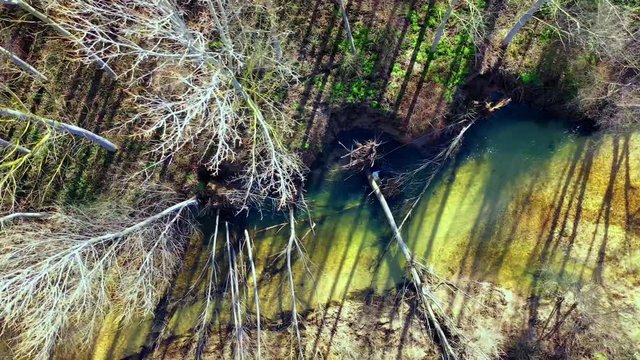 River and poplar grove in winter. Ega river, Navarre, Spain, Europe. Aerial view. 4K.