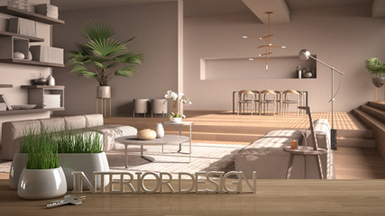 Wooden table, desk or shelf with potted grass plant, house keys and 3D letters making the words interior design, over blurred modern living room, project concept copy space background