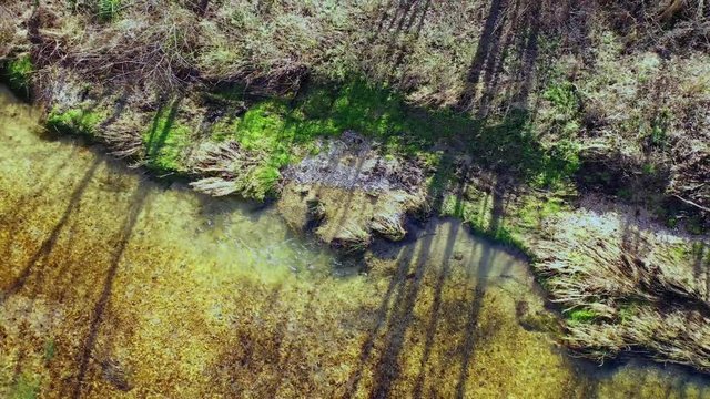 River and poplar grove in winter. Ega river, Navarre, Spain, Europe. Aerial view. 4K.
