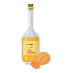 Walnut oil bottle and nuts in shell. Isolated decanter with food oil vector illustration. Organic liquid on white background.
