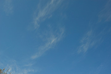 white cloud with blue sky background