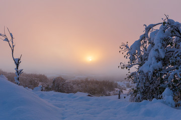 Chutes de neige lourde novembre 2019 france campagne ardèche rhône alpes levé soleil brume matinale