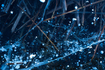 Autumn withered grass froze in the water