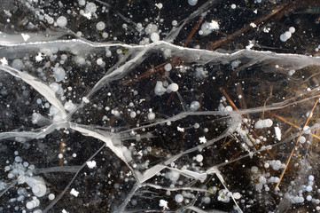 Top view of beautiful picture of dry yellowed reed