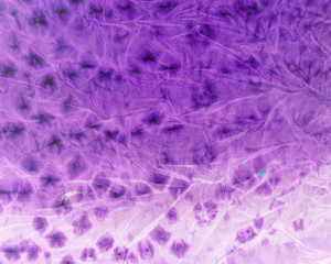 purple abstract background