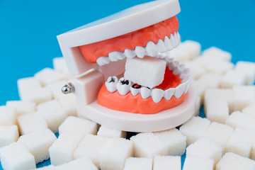 A peace of sugar in the fake jaw with a lot of holes in teeth isolated