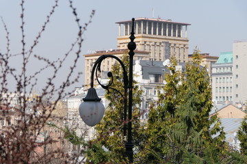 Blooming green tree, street lamp and old building