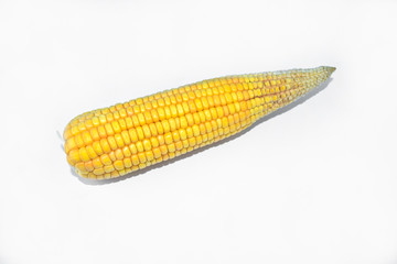 A sweet ear of yellow corn without leaves isolated on a white background