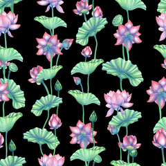 Seamless pattern with pencil drawn lotus flowers. Indian lotus pencil pattern  on black background. Lily flowers pattern. Flowers background. Botanical illustration.