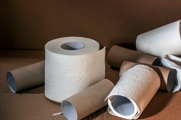 only whole roll of toilet paper in a pile of used rolls