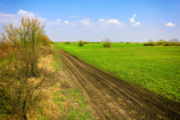 Summer landscape with green grass, road and clouds