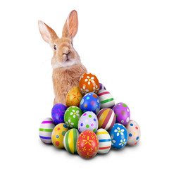 Curious, cute and funny Easter Bunny or Easter Rabbit peeking behind a pile of painted decorated or ornate Easter Eggs for Easter Egg Hunt Game isolated white background, cut out or cutout