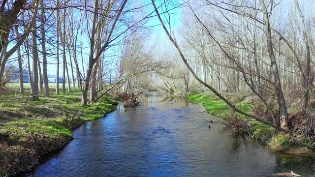 River and woodland. Ega river. Navarre, Spain. Europe. 4K.