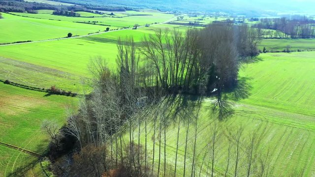 Farmland and deciduous trees. Alava, Basque Country, Spain, Europe. Aerial view. 4K