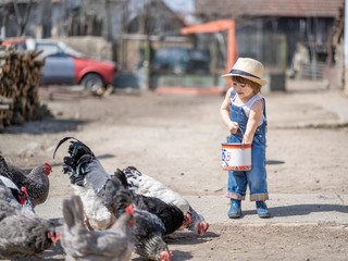 The litle farmer