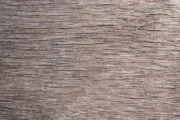 Obraz premium Brown background of wood under varnish. Wood texture.