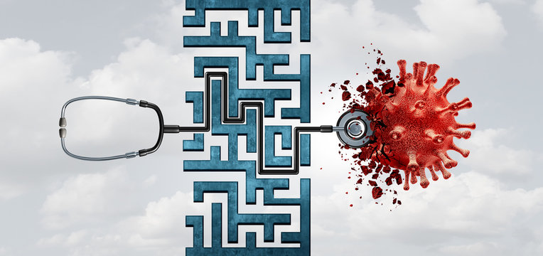 Virus Vaccine Research