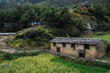 Mountain village and green fields